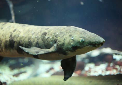 Old story, new&nbsp;beginnings